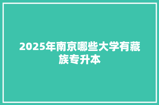 2025年南京哪些大学有藏族专升本 反义词汇