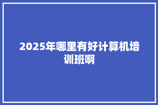2025年哪里有好计算机培训班啊