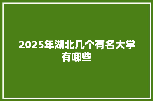 2025年湖北几个有名大学有哪些