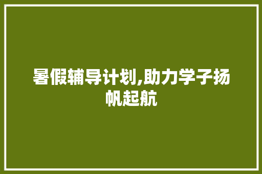 暑假辅导计划,助力学子扬帆起航