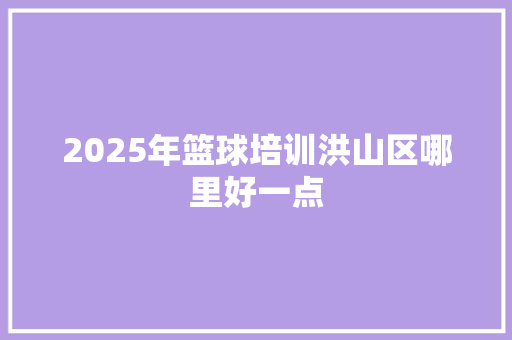 2025年篮球培训洪山区哪里好一点