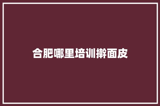 合肥哪里培训擀面皮