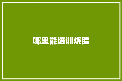 哪里能培训烧腊
