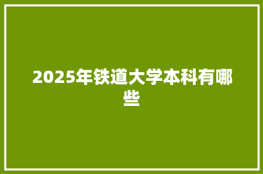 2025年铁道大学本科有哪些