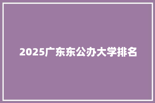 2025广东东公办大学排名