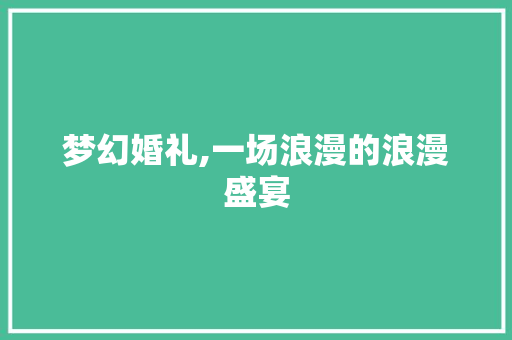 梦幻婚礼,一场浪漫的浪漫盛宴