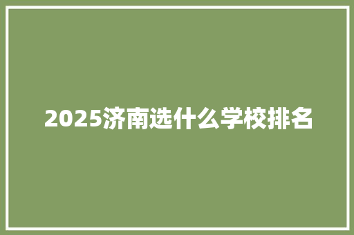 2025济南选什么学校排名