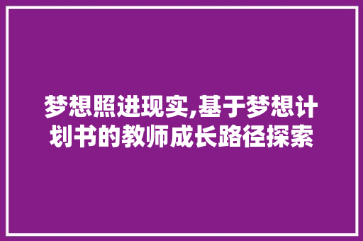 梦想照进现实,基于梦想计划书的教师成长路径探索