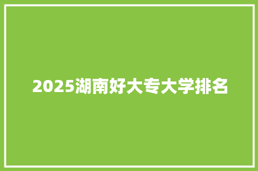 2025湖南好大专大学排名