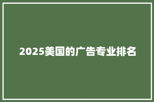 2025美国的广告专业排名