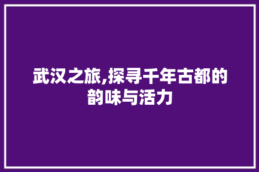 武汉之旅,探寻千年古都的韵味与活力 反义词汇