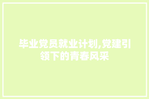 毕业党员就业计划,党建引领下的青春风采