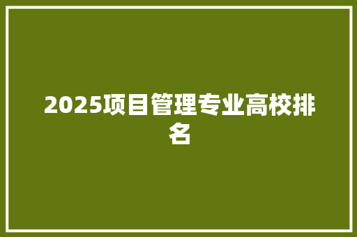 2025项目管理专业高校排名