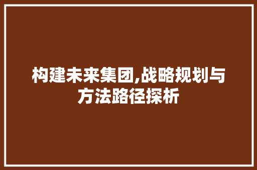 构建未来集团,战略规划与方法路径探析