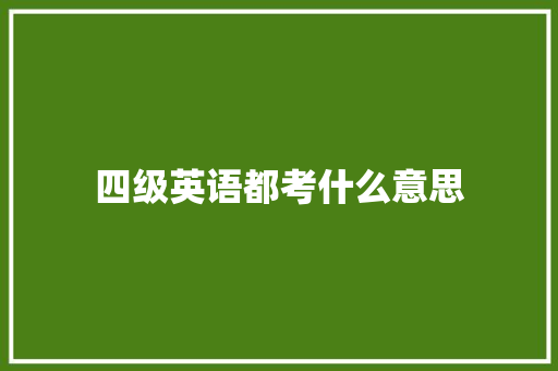 四级英语都考什么意思