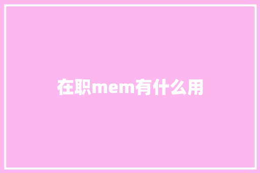 在职mem有什么用
