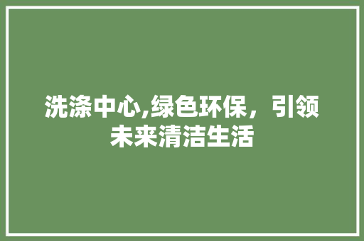 洗涤中心,绿色环保，引领未来清洁生活