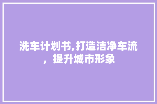 洗车计划书,打造洁净车流，提升城市形象