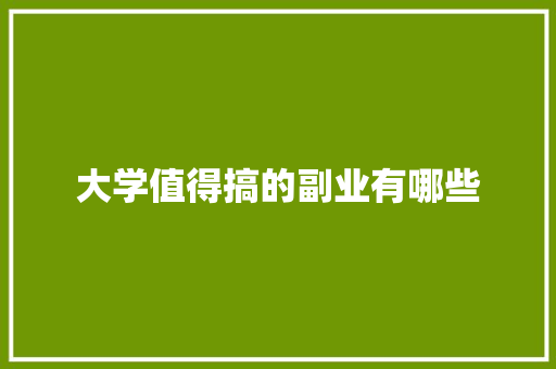 大学值得搞的副业有哪些