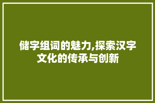 储字组词的魅力,探索汉字文化的传承与创新