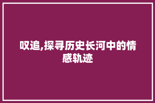 叹追,探寻历史长河中的情感轨迹