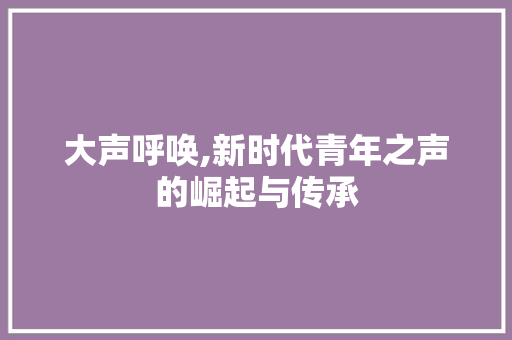 大声呼唤,新时代青年之声的崛起与传承