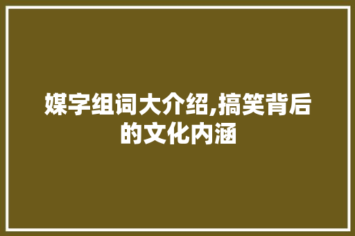 媒字组词大介绍,搞笑背后的文化内涵