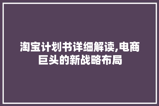 淘宝计划书详细解读,电商巨头的新战略布局