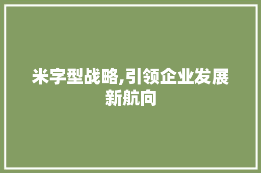 米字型战略,引领企业发展新航向