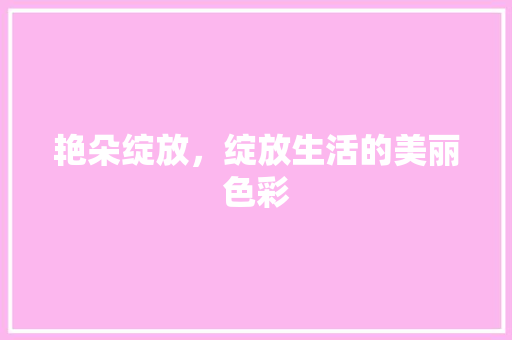 艳朵绽放，绽放生活的美丽色彩