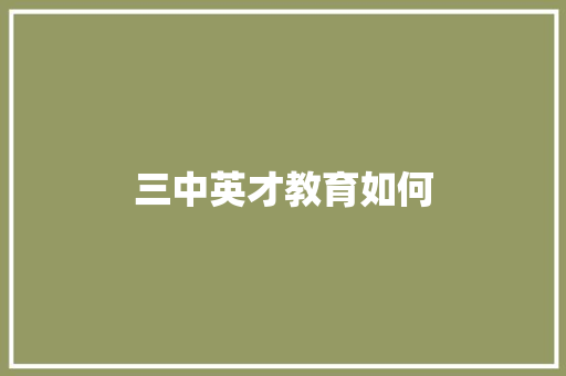 三中英才教育如何