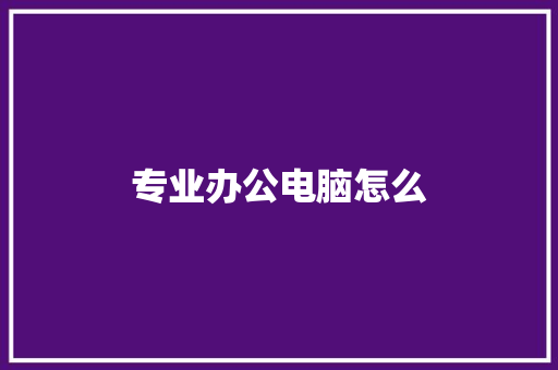专业办公电脑怎么