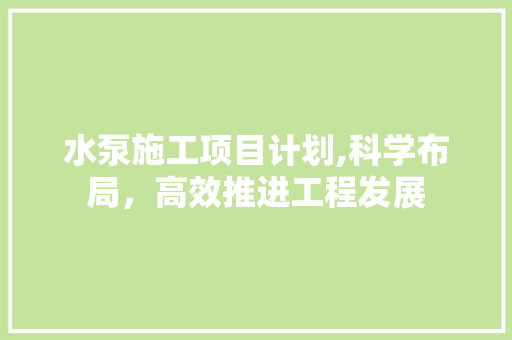 水泵施工项目计划,科学布局，高效推进工程发展