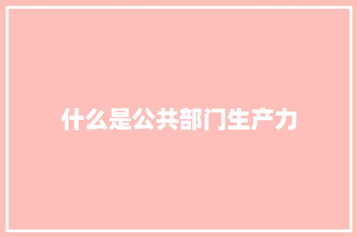 什么是公共部门生产力