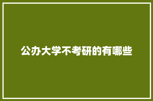 公办大学不考研的有哪些
