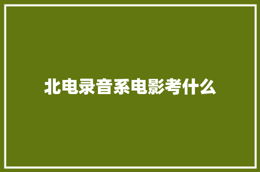 北电录音系电影考什么