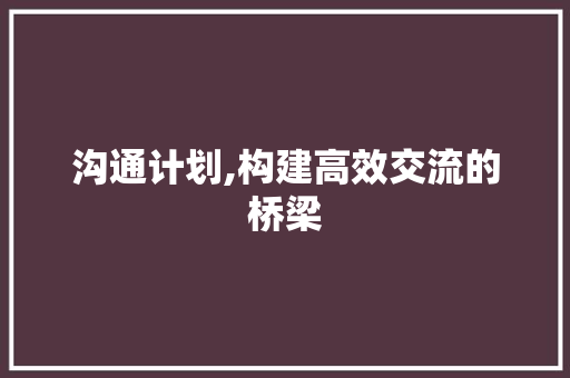 沟通计划,构建高效交流的桥梁