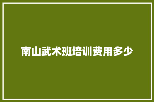 南山武术班培训费用多少