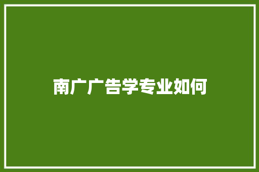南广广告学专业如何