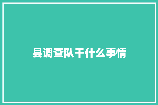 县调查队干什么事情