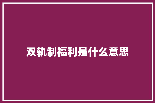 双轨制福利是什么意思