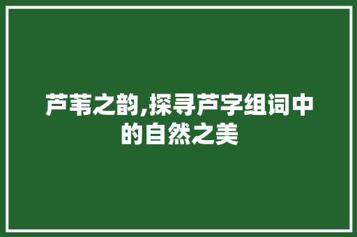 芦苇之韵,探寻芦字组词中的自然之美 反义词汇