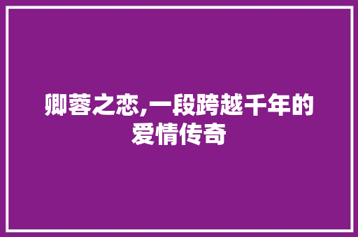 卿蓉之恋,一段跨越千年的爱情传奇