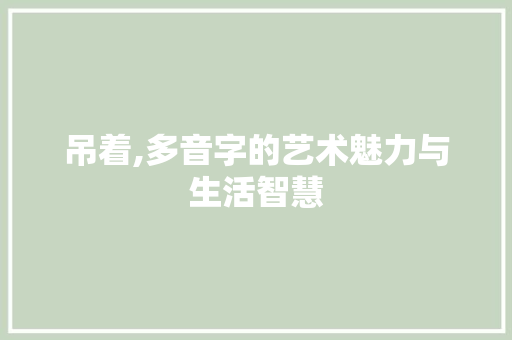 吊着,多音字的艺术魅力与生活智慧