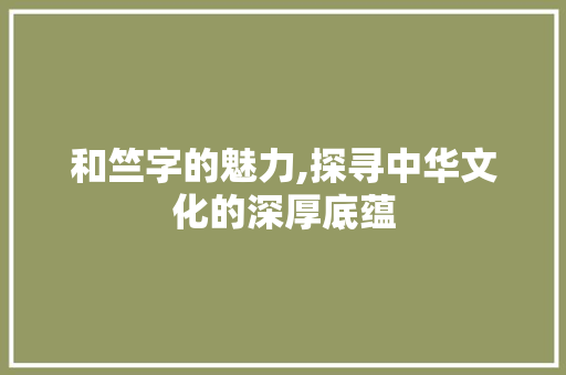 和竺字的魅力,探寻中华文化的深厚底蕴