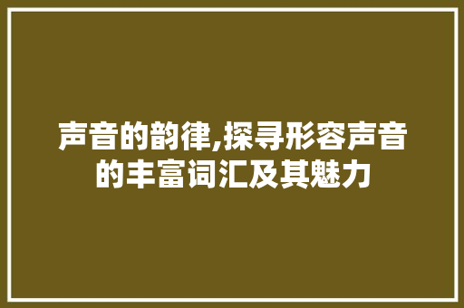 声音的韵律,探寻形容声音的丰富词汇及其魅力