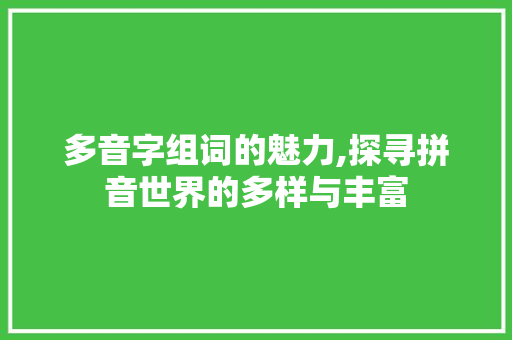 多音字组词的魅力,探寻拼音世界的多样与丰富 英语单词