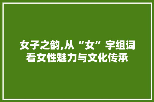 女子之韵,从“女”字组词看女性魅力与文化传承