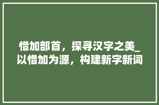 惜加部首，探寻汉字之美_以惜加为源，构建新字新词新世界