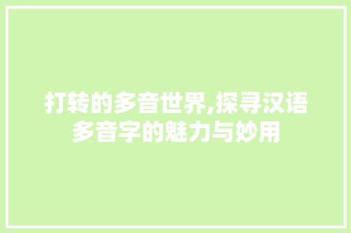 打转的多音世界,探寻汉语多音字的魅力与妙用